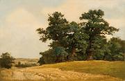 Landscape with oaks
